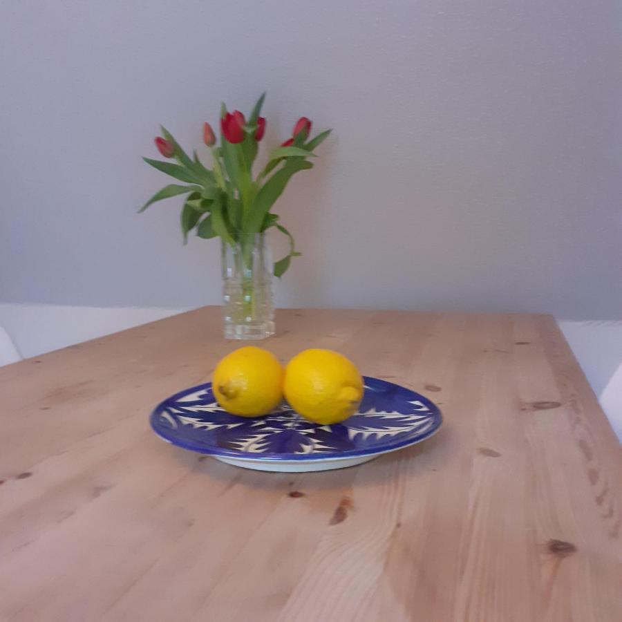 Solyst Appartement Silkeborg Buitenkant foto